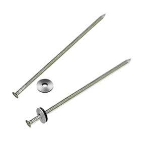 Гвозди шиферные 4х100 оцинк. с шайбой (50шт)