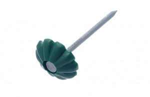 Гвозди с декор.шляпкой(зелёная) 1,4х25  (уп. 50 шт)